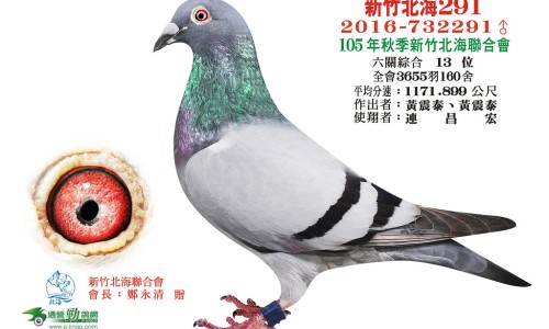 阳禾功效和作用是什么-阳起石的功效与作用-阳起石的功效与作用,中国阳起的功效与作用网站